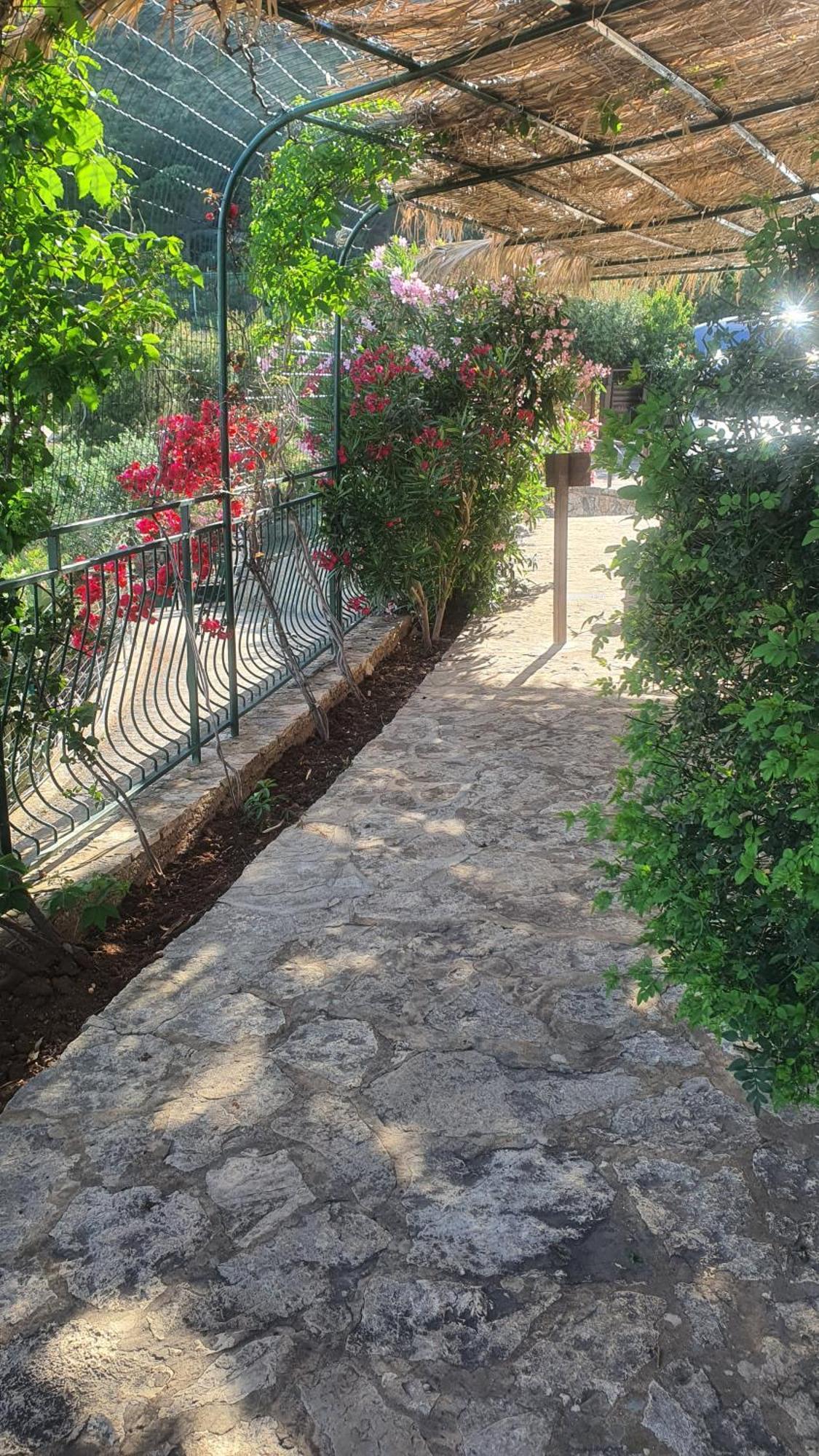 Palma Dello Zingaro Villa Scopello  Buitenkant foto